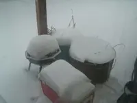 froze baby ponds.webp