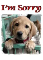 4I\'mSorry note.webp