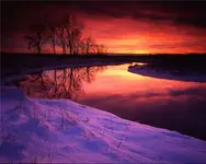 2436b4141.webp