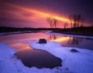 959e26d57.webp