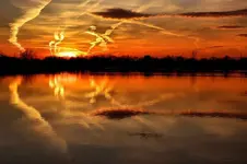 Refelections.webp