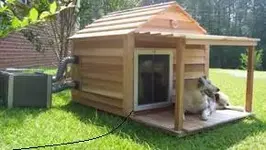 dog house.webp