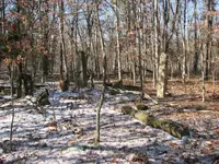 homestead1.webp