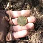 Fresh out of ground.webp