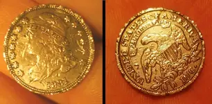 Capped Dime.webp