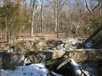 cellarhole2view.webp