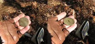 Bigbuttonfreshfromground.webp