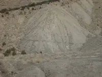 mule trail.webp