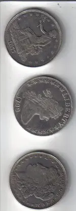Silver dollars.webp