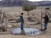 Corral-spring.webp