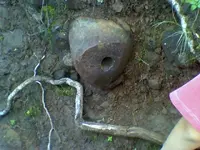 0101091415a.webp