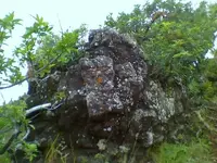 0101091505a.webp