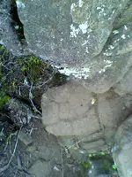 0101091453a.webp