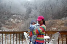 frozen.webp