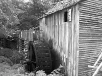 tenn 063 (Small).webp