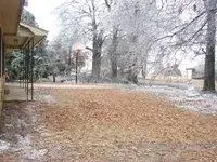 Ice storm 1-27-09.webp