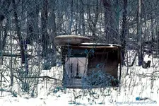 AbandonedDogHouse2.webp