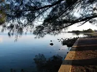 Cyprus Shade.webp