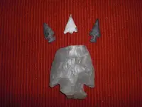 CIMG8120.webp