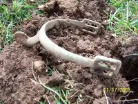 complete spur.webp