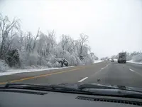 Icy beauty but deadly.webp