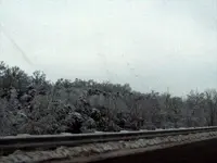 looking out da car window.webp