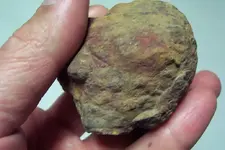 Indian artifacts 001.webp