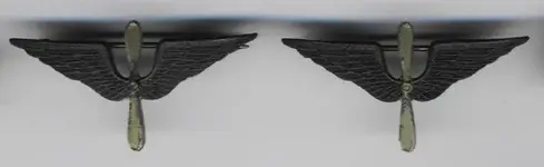 ww1wings2.webp