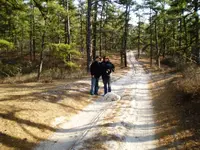 2009_02210001a.webp