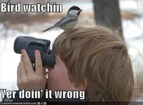 ATT00010.webp