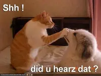 ATT00019.webp