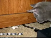 ATT00058.webp