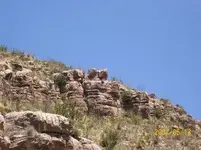 nm 012.webp