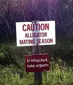 alligator-mating.webp