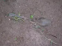 finds feb02 03.webp