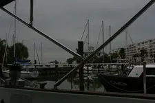 gloomy day.webp