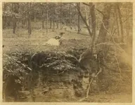 back guyasuta park 1887.webp