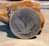 treasure 2009 013comp.webp