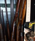 guns1.webp