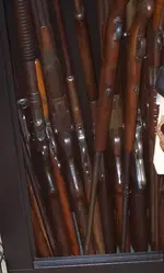 guns2.webp
