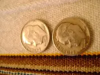 coin.webp