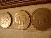 coin2.webp