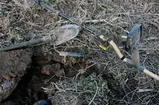 Buckle find.webp