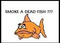 22117152066Fish%203.webp