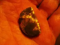 gold 001.webp