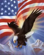 5819~American-Eagle-and-Flag-II-Posters.webp
