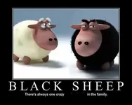 blacksheep3.webp
