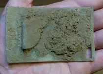 plate back.webp