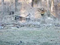 DSCF3398.webp