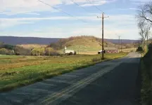 albany02.webp